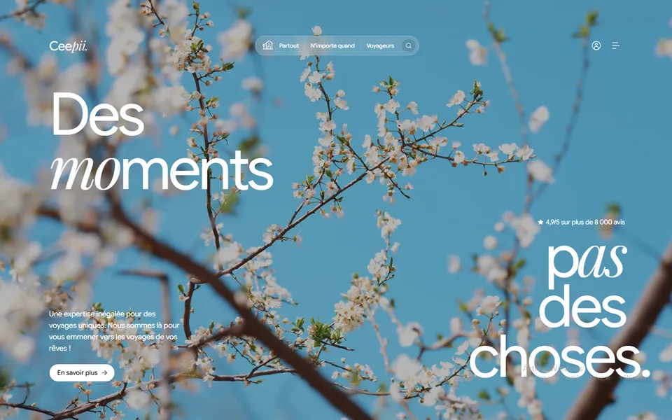 Ceepii, création de site web pour une application de voyage